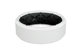 Zeus Edge Tundra Ring